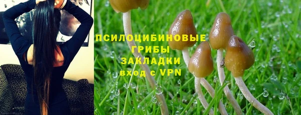 меф Горнозаводск