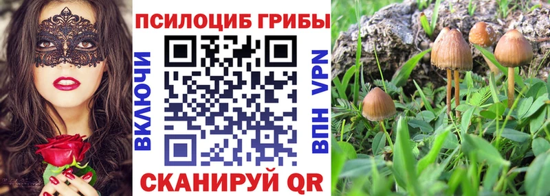 Галлюциногенные грибы Psilocybine cubensis  купить наркотики сайты  Облучье 
